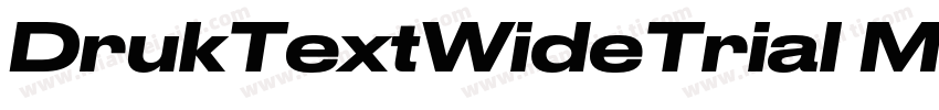 DrukTextWideTrial Medium字体转换